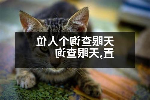 天眼查询个人位置,天眼查询