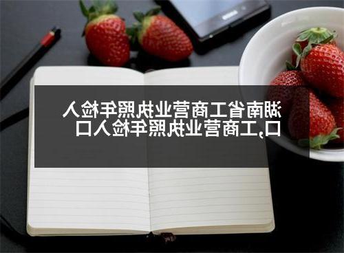 湖南省工商营业执照年检入口,工商营业执照年检入口