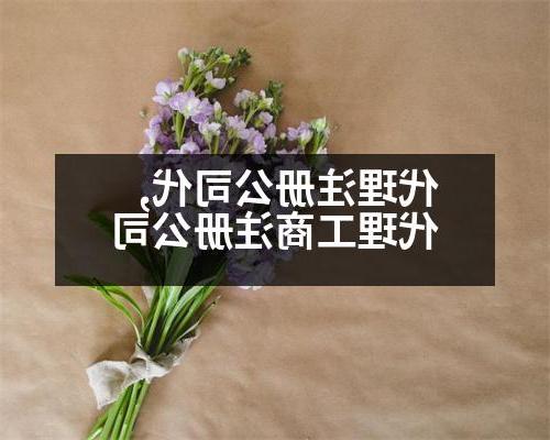 代理威尼斯人官网代,代理工商威尼斯人官网