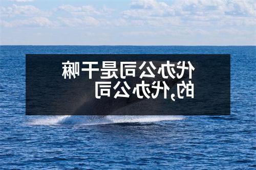 代办公司是干嘛的,代办公司