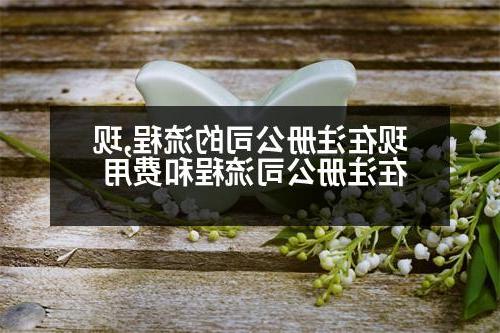 现在威尼斯人官网的流程,现在威尼斯人官网流程和费用