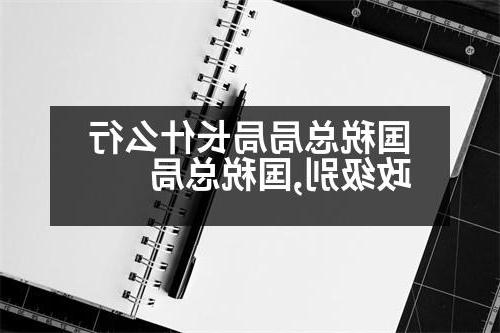 国税总局局长什么行政级别,国税总局