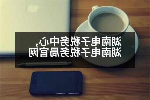 湖南电子税务中心,湖南电子税务局官网